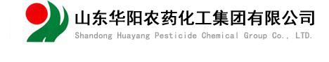 山东华阳